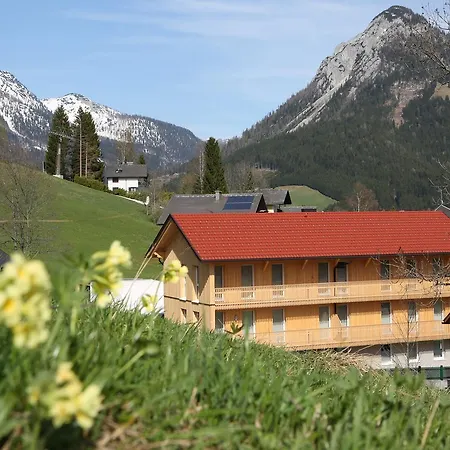 Grimming Arnika توبليتز