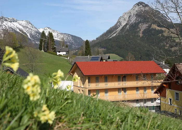 Grimming Arnika توبليتز