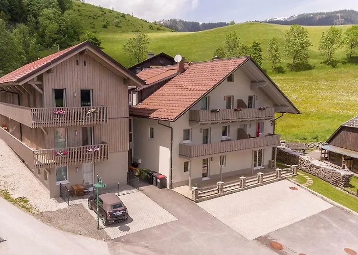 Grimming Arnika توبليتز